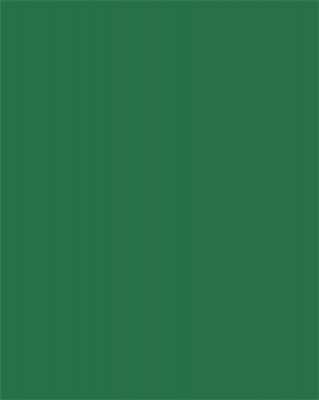 Színes papír, A3, 130 g, 50 lap, FOLIA, fenyőzöld