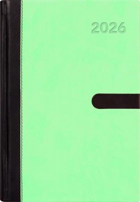 Naptár, tervező, A5, napi, DAYLINER "Winner", menta